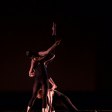 From Student to Pro: The Top 5 Skills You Need to Succeed in Tango