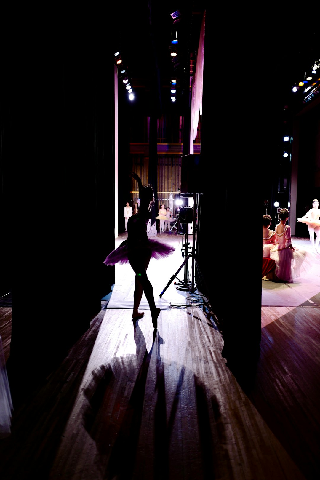 "Discover the Best Latin Dance Training Institutions in Polk City, Ohio"