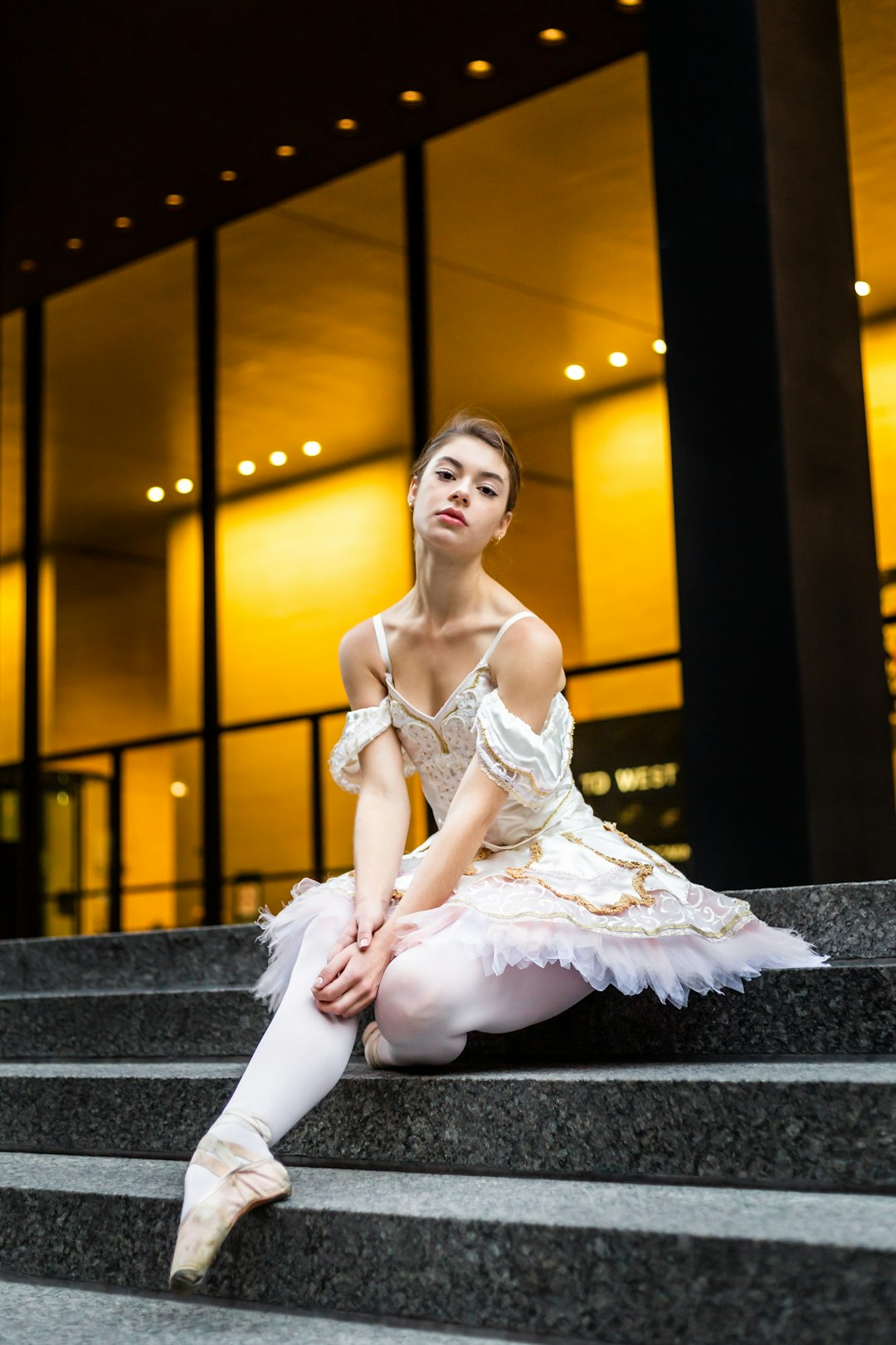 The Salsa Professional's Roadmap: A 5-Stage Training System for Career-Ready Dancers