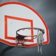**Destiny Awaits: UConn's Bueckers and the Big Dance**  