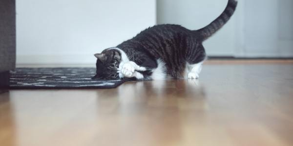 Find Your Cumbia Rhythm: Top Dance Studios in Oak Park Heights