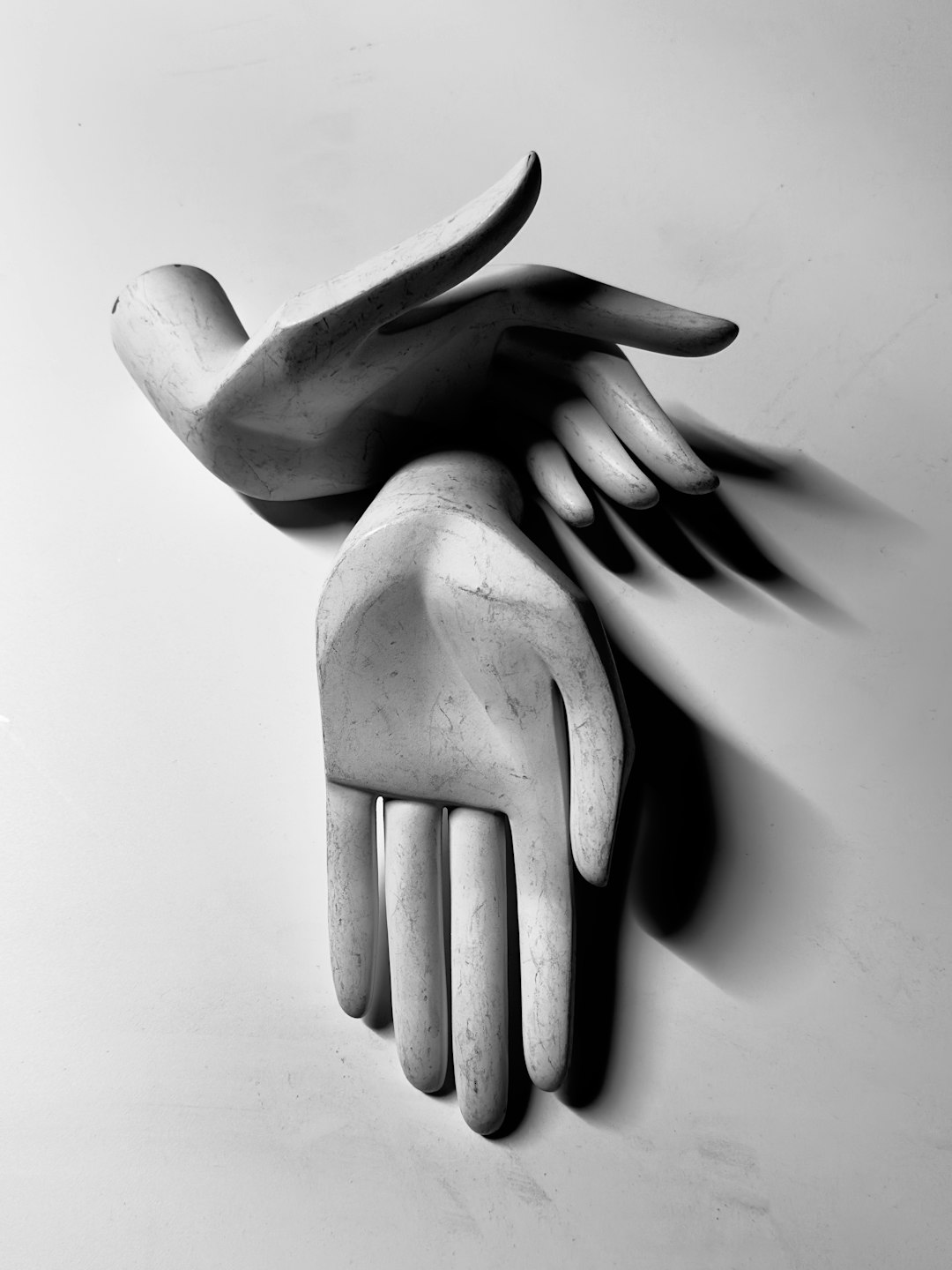 "From Hobby to Career: Essential Steps to Mastering Contemporary Dance"