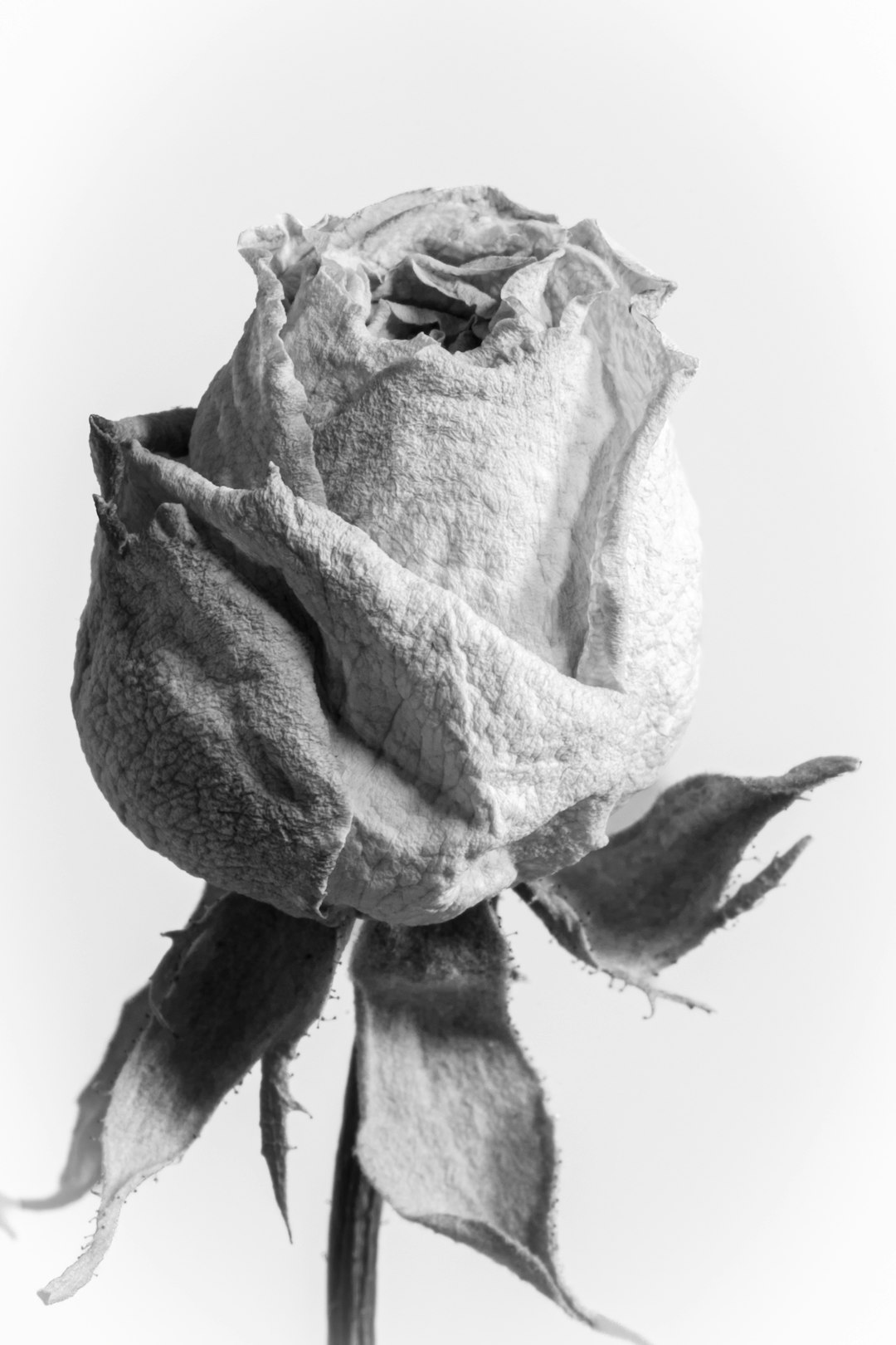 Breaking the Plateau: Three Strategic Focus Areas for the Intermediate Dancer