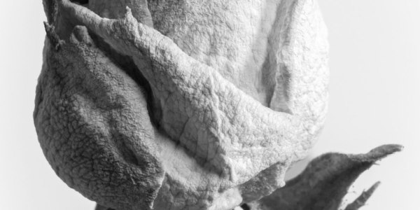 Breaking the Plateau: Three Strategic Focus Areas for the Intermediate Dancer