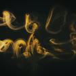 Unlocking Nuance: How to Develop the Expressive Power and Intricate Detail of an Advanced Lyrical Dancer.