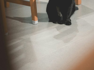 From Sequence to Artistry: An Advanced Dancer's Guide to Improvisation