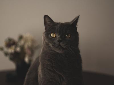 Confidence in Motion: A Beginner's Checklist for Latin Dance Attire