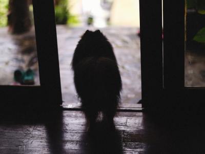 **Fresh Moves: Top 5 Trending Tracks for Your Next Dance Session**