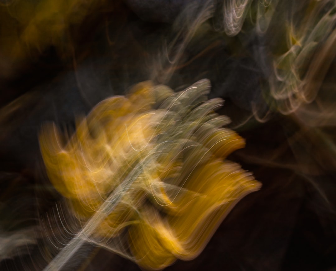 **From Steps to Soul: How to Truly Connect with the Music in Salsa**