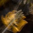 **From Steps to Soul: How to Truly Connect with the Music in Salsa**