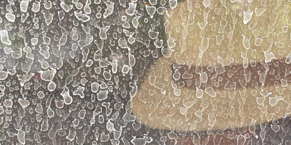 Finding Your Flow: Top Hip-Hop Dance Studios in Forest Junction, WI