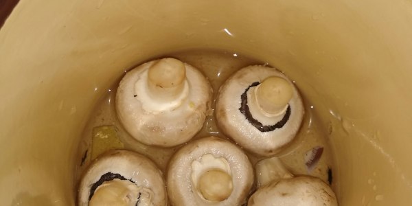 From Basics to Advanced: Where to Square Dance in Markham, Illinois