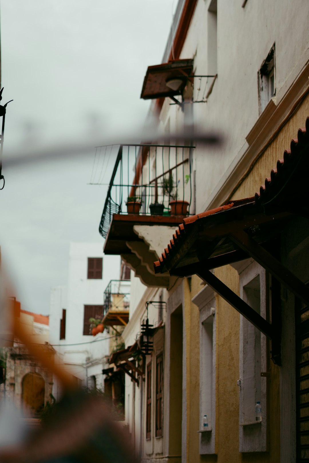 "Salsa Success: How to Turn Your Passion into a Career"