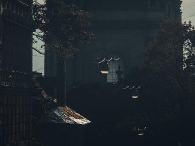 Connect with Culture: Finding the Right Folk Dance School in La Huerta, NM