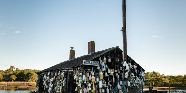 Unlock Your Ballet Potential: Top Dance Training Centers in Coatesville City, Indiana