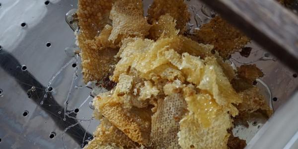 The Perfect Pair: Your Guide to Choosing Ballroom Dance Shoes