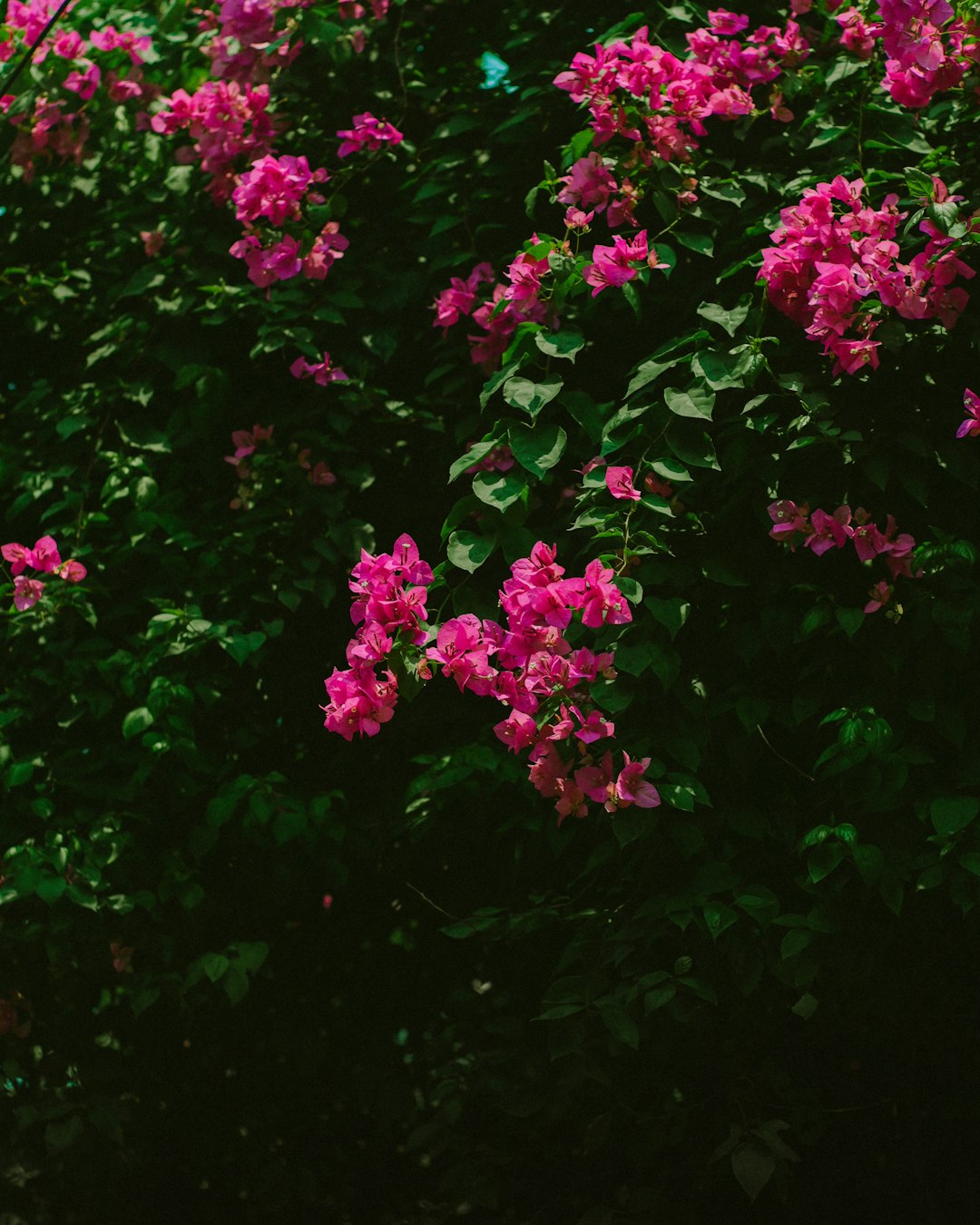 **"Best Songs for Lyrical Dance: A Curated Playlist for Every Mood"**
