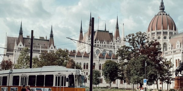 Ballet in the Heartland: Exploring the Premier Dance Training Institutions in Cleveland City and Mississippi State