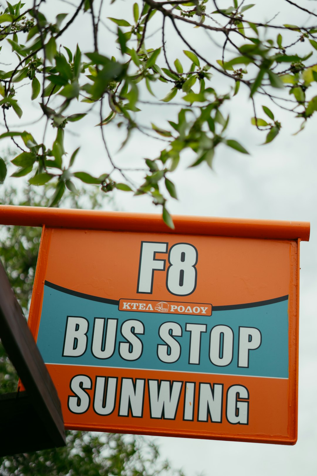 Where Warm Mineral Springs Dancers Actually Train (And Why They Stay)