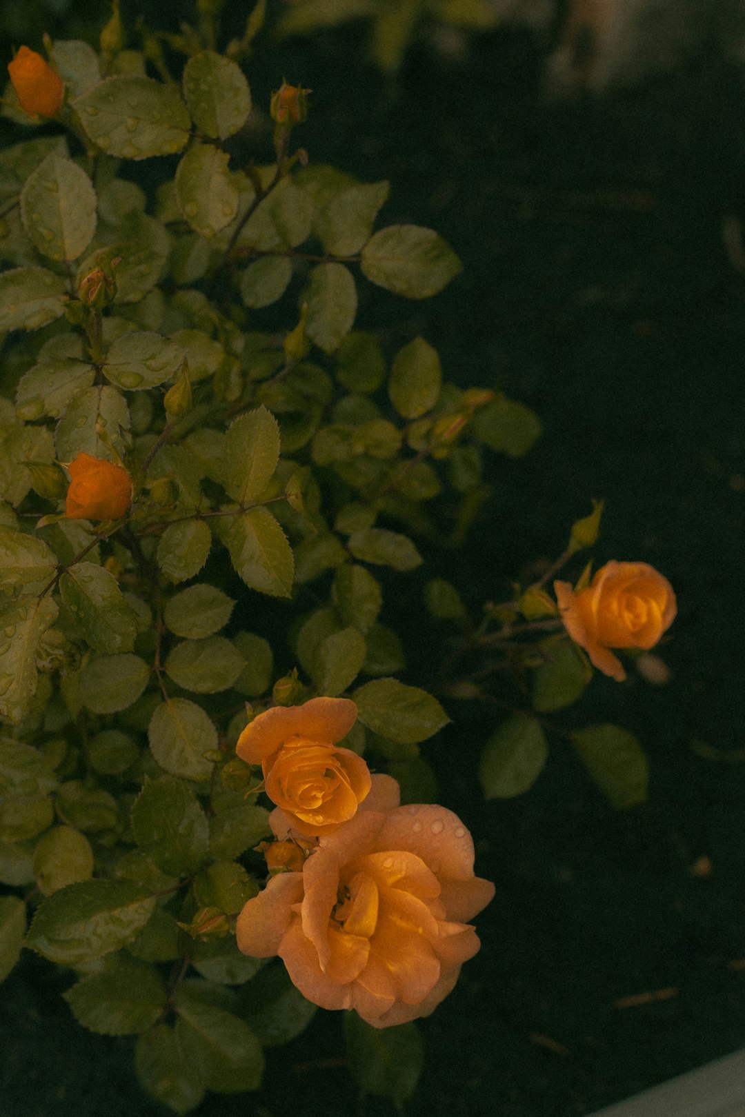**Nick Waplington’s 90s NYC: A Raw, Unfiltered Time Capsule**  
