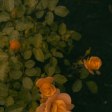 **Nick Waplington’s 90s NYC: A Raw, Unfiltered Time Capsule**  
