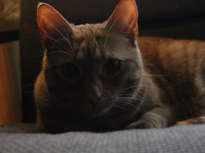 **Beat Sync: Matching Music to Krump's Intense Styles**