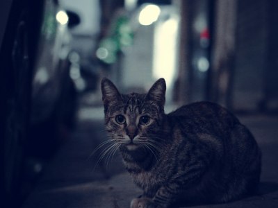 5 Tips for Choosing the Perfect Zumba Outfit