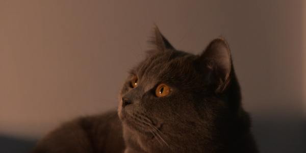 From Studio to Stage: Your First Steps Toward a Professional Lyrical Dance Career