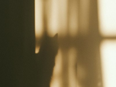 Hector City's Top Square Dance Training Hubs: Where Community & Steps Meet