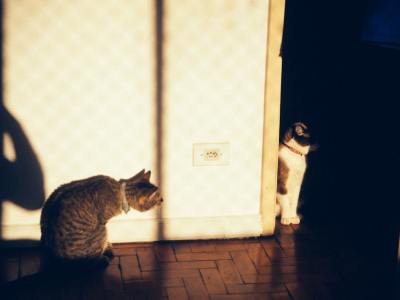 **The Perfect Playlist for Lyrical Flow**