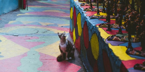 Montana's Hidden Swing Scene: Training Spots in Kicking Horse City