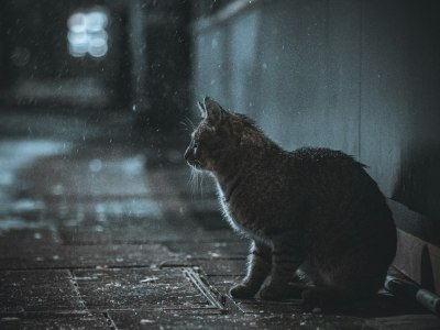 **Emotional Currents: Soundtracks for Storytelling**