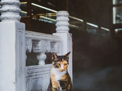 **Rhythms for Your Best Zumba Class**