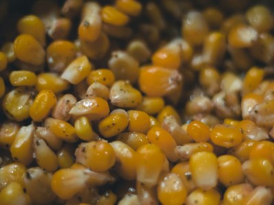 **From Hornpipe to Playlist:** Building the ultimate driving playlist for hard shoe. Discover powerful tracks with the perfect tempo and punch for your treble work.