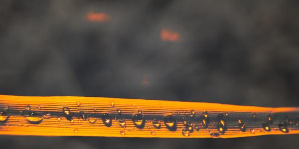 Your Pirouette Pathway: Ballet Academies in Biscayne Park, Florida