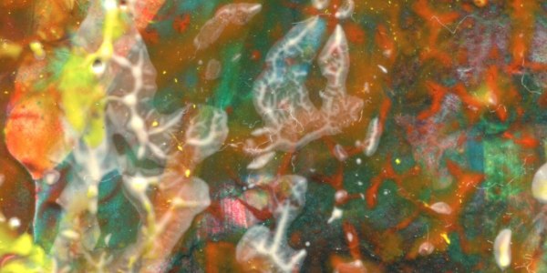 Trey McIntyre, a name synonymous with innovative and boundary-pushing choreography, is embarking on an exciting new chap...