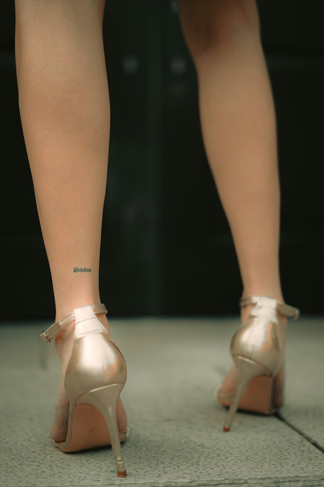 **"Best Salsa & Bachata Songs for Your Next Dance Session"**