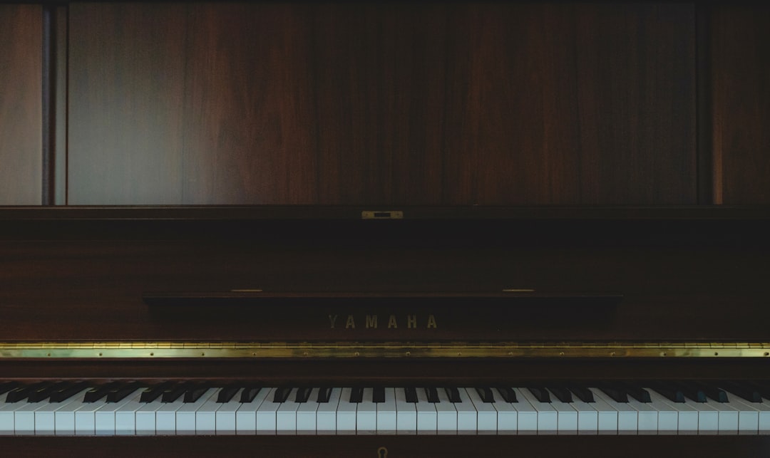 The 9 Latin Tracks That Made Me Finally Understand Musicality