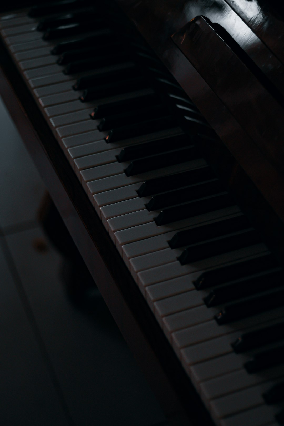 ### When the Music Stops: The Unsettling Silence of John Shin’s Detention