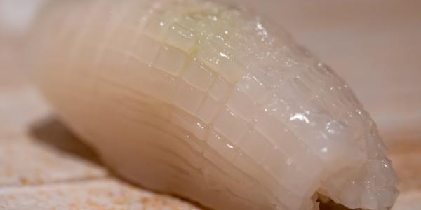 **The Perfect Playlist: Music That Elevates Your Lyrical Dance Emotion**