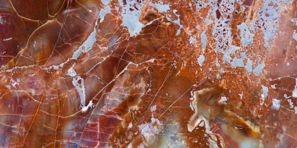 Unlock Your Pro Potential: Essential Steps to Launch Your Hip Hop Dance Career