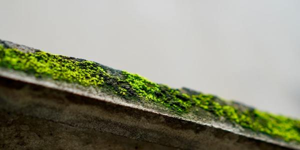 # The Heartbeat of Tradition: Why Scottish Dancing is More Than Just Steps