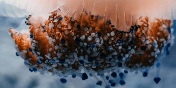 Stepping into Community: Where to Learn Square Dance in Marlborough