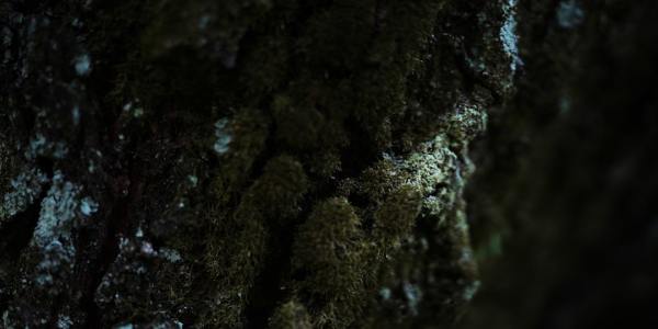 Unlocking Your Krump Career: Essential Steps for Aspiring Professionals