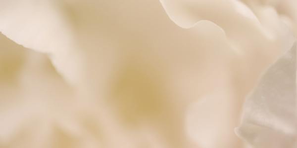 The Gravity-Defying Body: How Contemporary Dance Redefines Human Movement