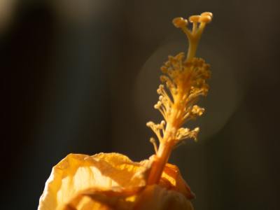 **Your Style, Your Dance: How to Choose Ballroom Clothes That Boost Confidence**