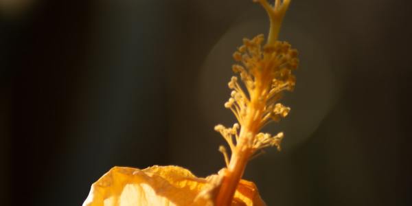 **Your Style, Your Dance: How to Choose Ballroom Clothes That Boost Confidence**