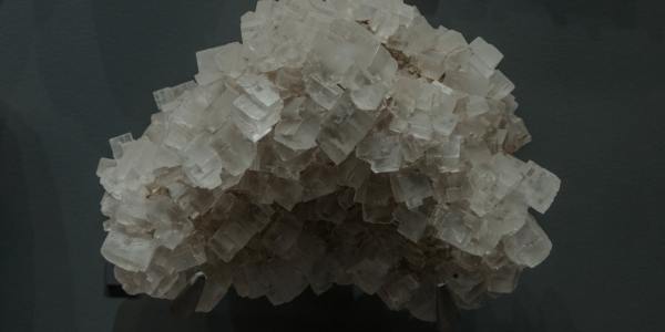 Building a Lyrical Dance Portfolio: Essential Tips for Aspiring Professionals