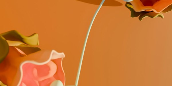 Square Dance Community Hubs in Savage, MN