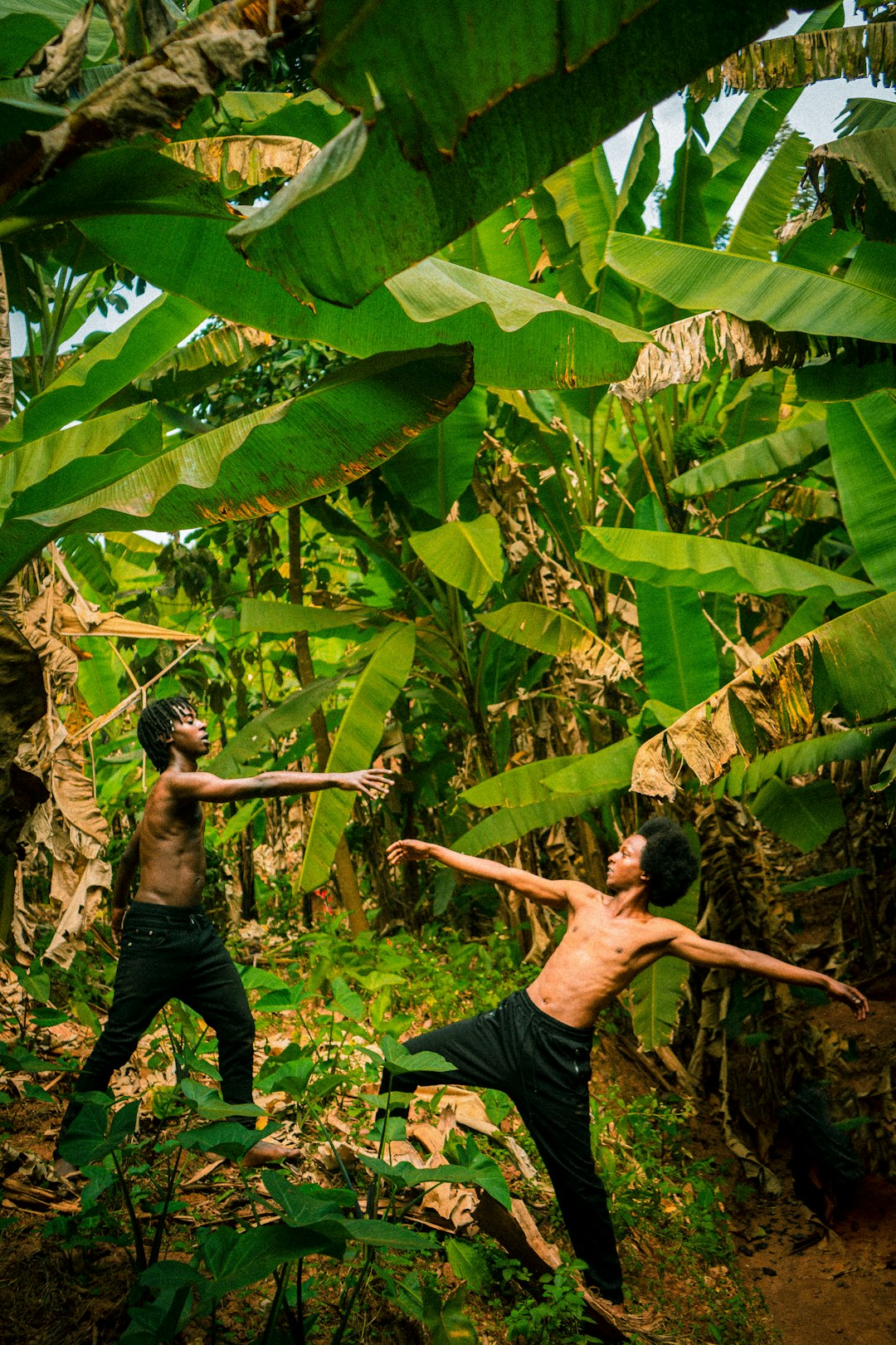Why Strangers Are Flocking to Community Dance Studios—and What They're Finding There